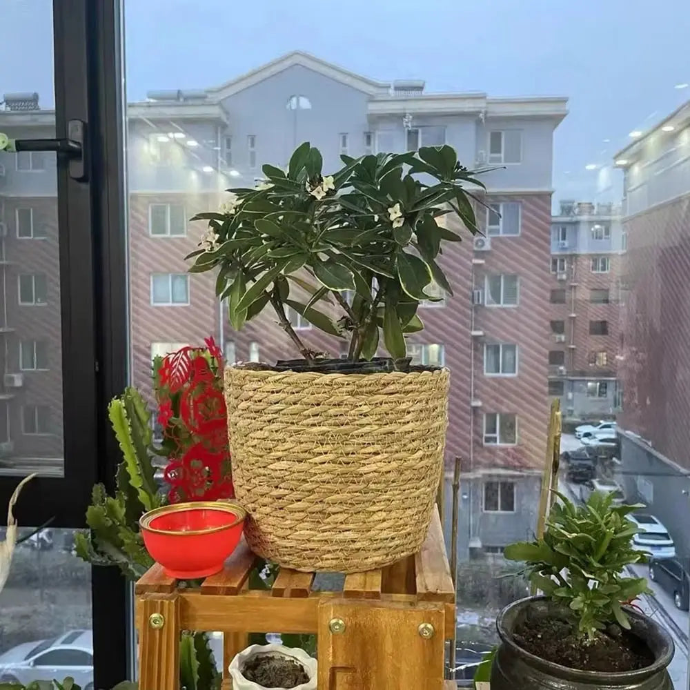 Cache-pot en paille tressée