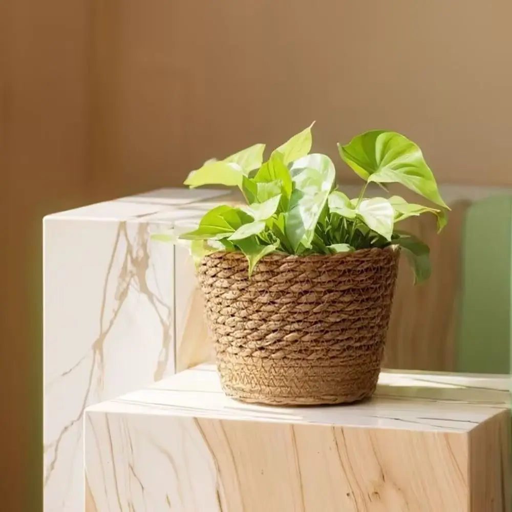 Cache-pot en paille tressée