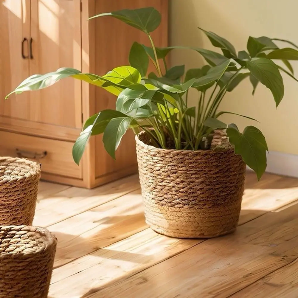 Cache-pot en paille tressée